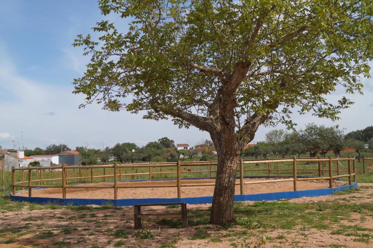 Tapada Do Chafariz Bed and Breakfast Estremoz Εξωτερικό φωτογραφία